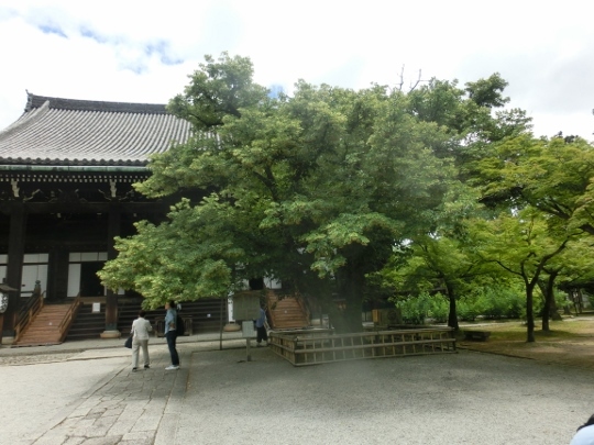 c0328559_16400806.jpg