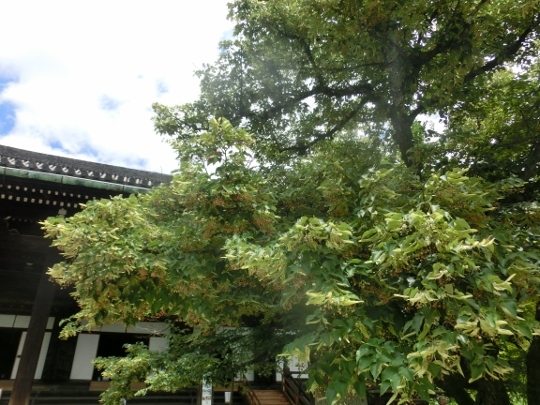 c0328559_17231278.jpg