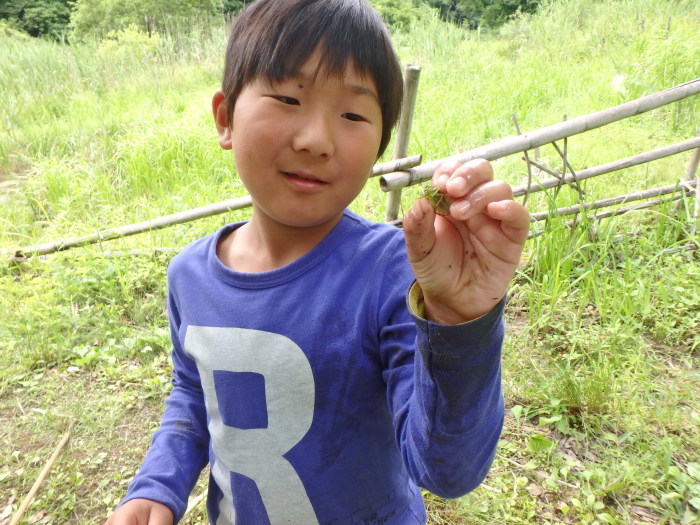 カエル谷へ静岡から小学生が来ました。_a0122264_20324775.jpg