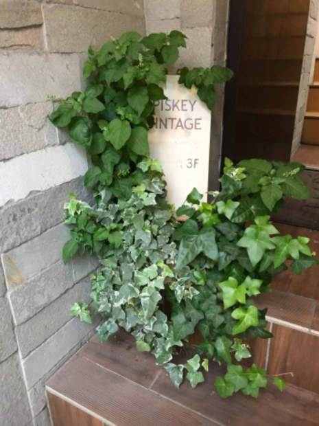 c0360867_14321077.jpeg