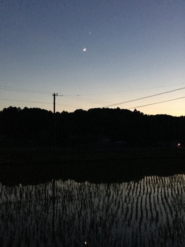ブログ2年_f0363168_20100048.jpeg