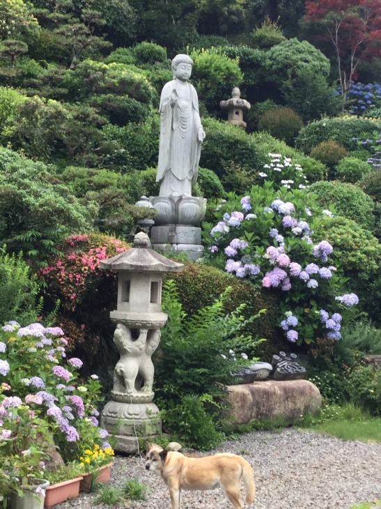「あじさい」_b0228969_13303364.jpeg