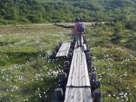 2018.6.14 吾妻浄土平と谷地平のワタスゲ_a0344771_20293465.jpg