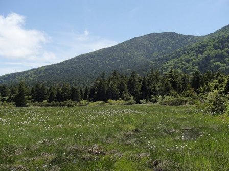 a0344771_20355765.jpg