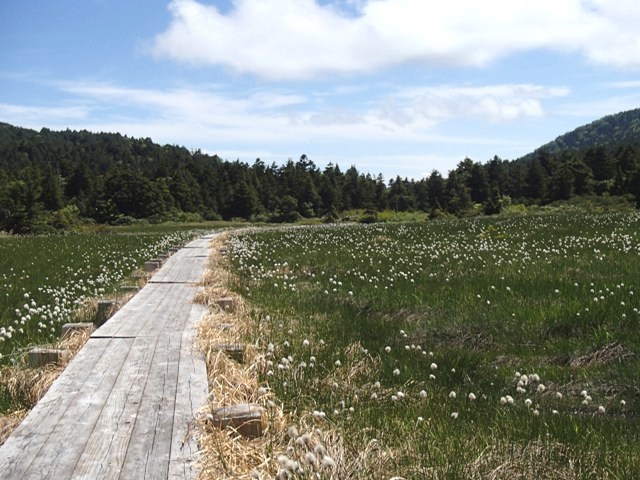 a0344771_20360165.jpg