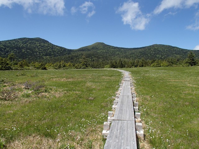 2018.6.14 吾妻浄土平と谷地平のワタスゲ_a0344771_20390751.jpg