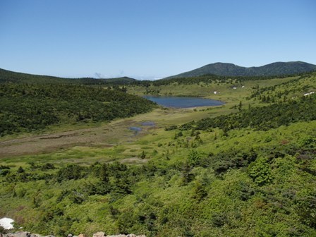 a0344771_20402416.jpg