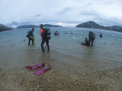 「台風ニモ負けず...」_b0033573_17451764.jpg