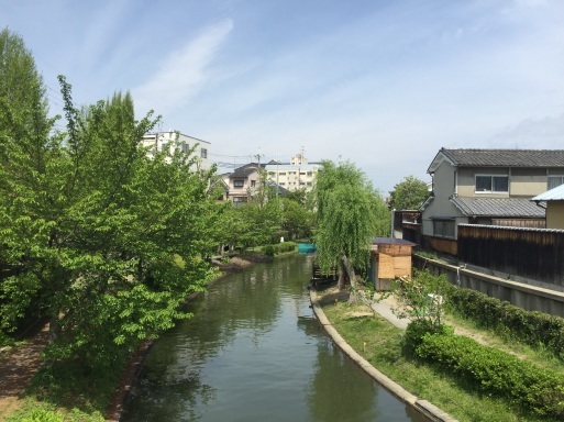 f0170173_14072095.jpeg