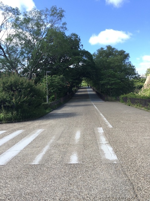 e0139376_16413809.jpg