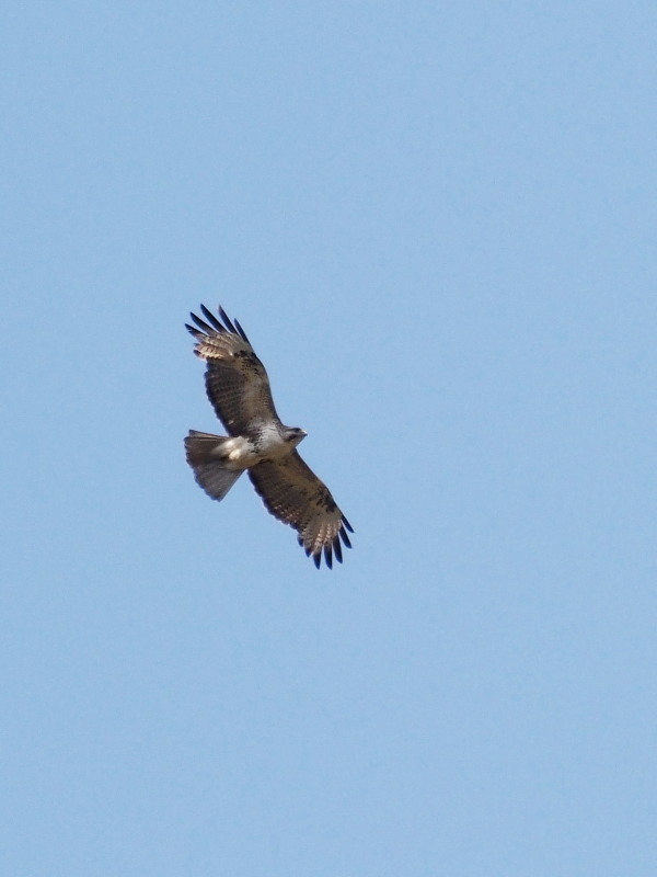 f0372177_14035044.jpg