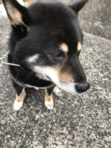 f0315081_21421886.jpeg