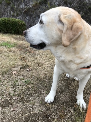 f0315081_21462538.jpeg