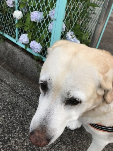 f0315081_21502047.jpeg