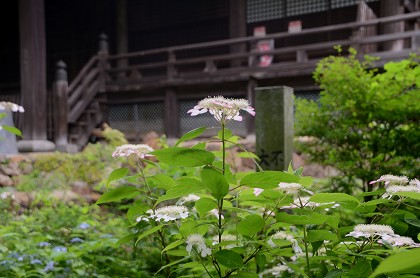 c0229483_03916.jpg