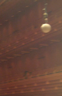 c0039487_07251134.jpg
