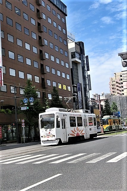 素晴らしい仕事を、研究成果を残す・・・それには素晴らしい仲間が必要、日本の伝統食品を守る、鹿児島知覧町からの便り_d0181492_21264713.jpg