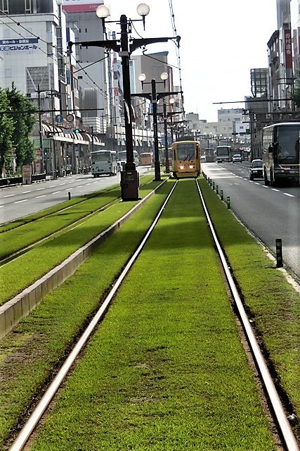 素晴らしい仕事を、研究成果を残す・・・それには素晴らしい仲間が必要、日本の伝統食品を守る、鹿児島知覧町からの便り_d0181492_21271709.jpg