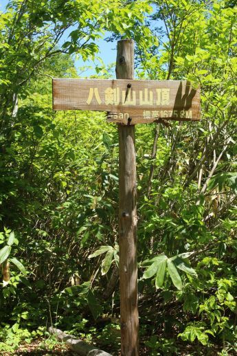 20180614 【登山】カヤの平と八剣山_b0013099_08533087.jpg