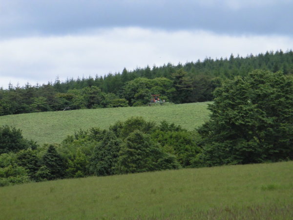 f0334599_10592352.jpg