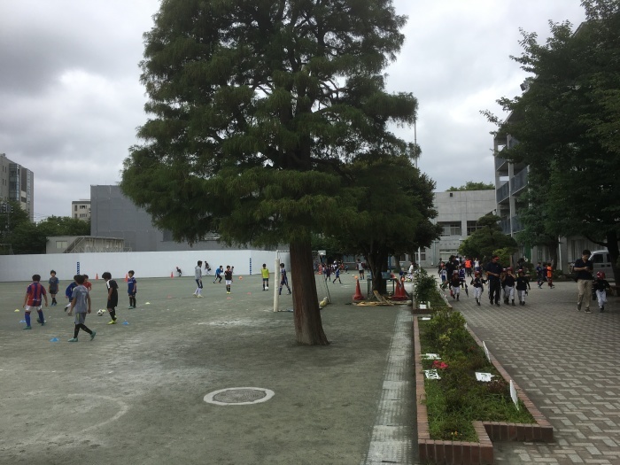 a0148206_14404078.jpeg