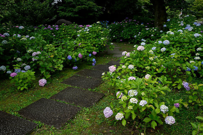 f0032011_19432463.jpg