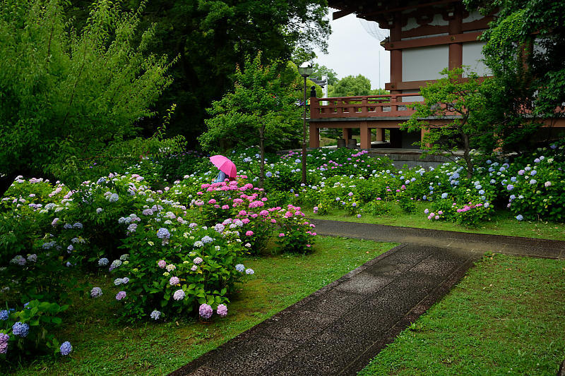 f0032011_19432554.jpg