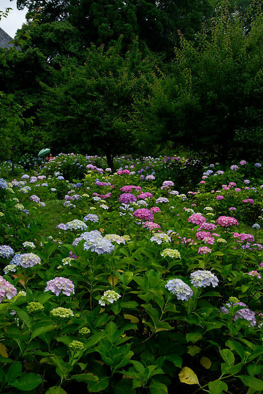 f0032011_19432579.jpg