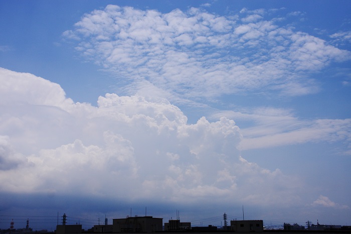 夏の空　無毛雲（積乱雲）とひつじ雲（高積雲）_b0268615_127292.jpg