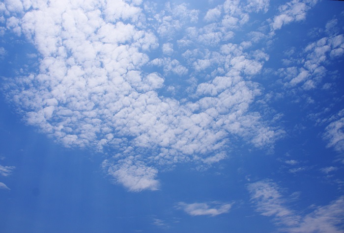 夏の空　無毛雲（積乱雲）とひつじ雲（高積雲）_b0268615_1274530.jpg