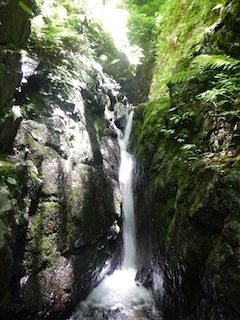 蕎麦粒山・銚子谷右俣…癒しの溪か、それとも…_c0359615_21490390.jpg