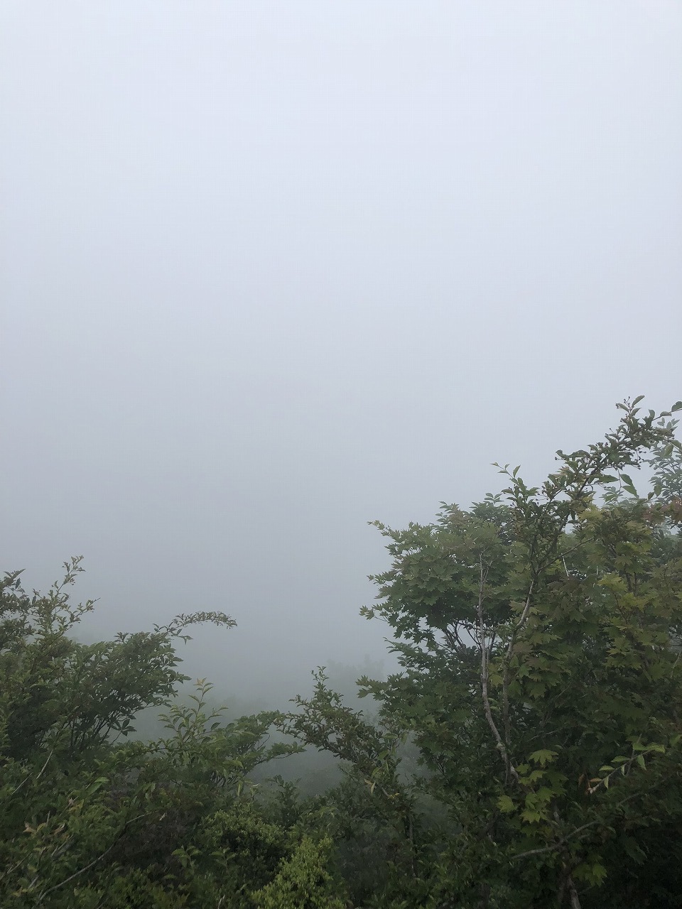 e0171018_23005588.jpg