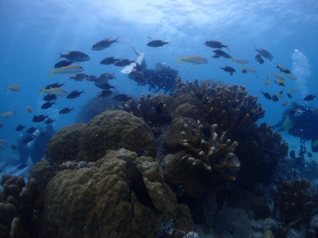 c0115421_20201294.jpg