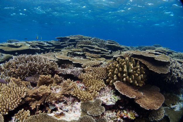 c0115421_20290537.jpg