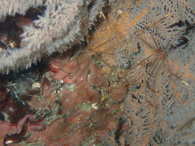 c0115421_21032134.jpg