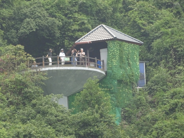 c0141223_16320469.jpg