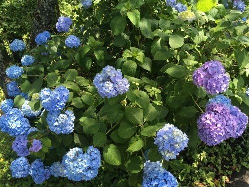 b0004229_15203629.jpeg