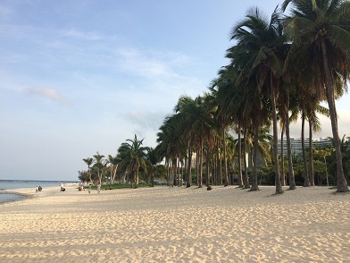 f0371533_22214414.jpg
