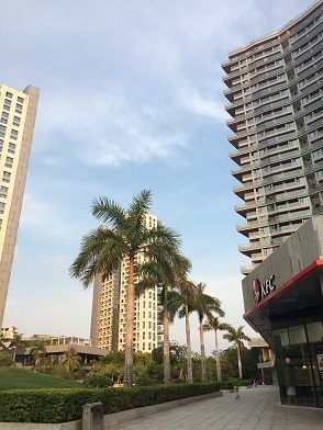 f0371533_22225400.jpg
