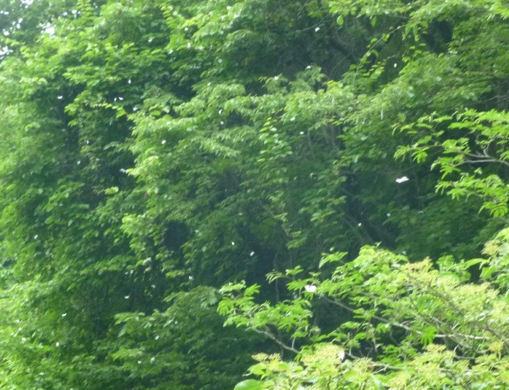 b0298935_23111394.jpg
