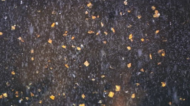 雪の喪章 1967 雪の朝帰り