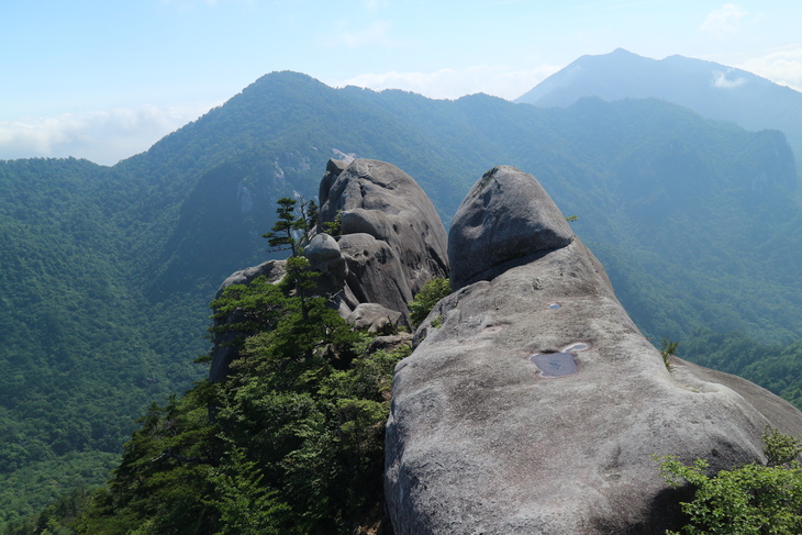 大崩山のササユリに感動！_e0272335_16255030.jpg