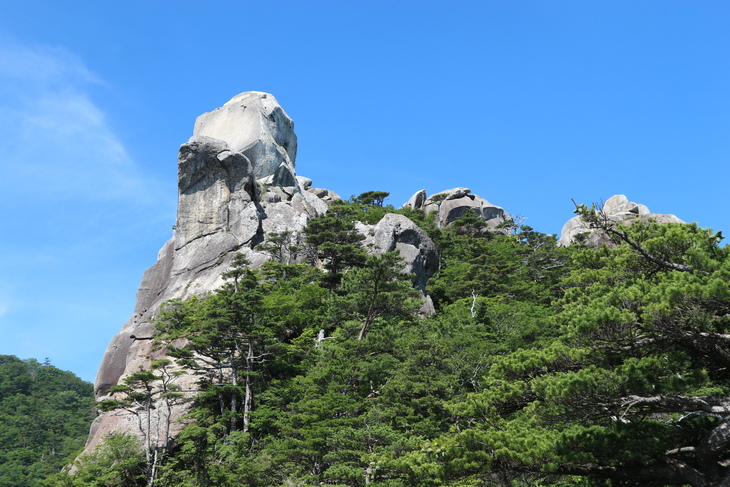 大崩山のササユリに感動！_e0272335_17293811.jpg