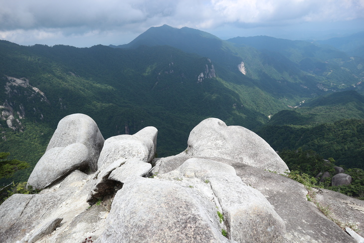 大崩山のササユリに感動！_e0272335_18252966.jpg