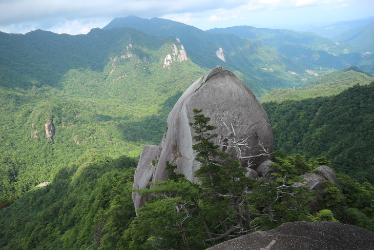 大崩山のササユリに感動！_e0272335_18515099.jpg