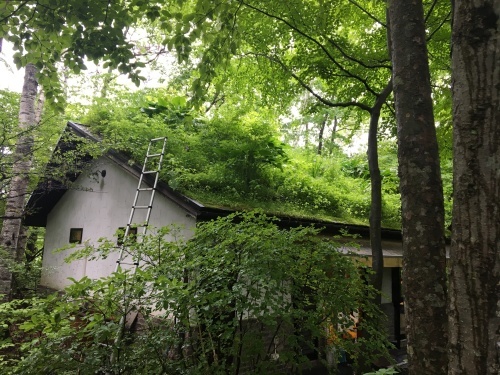 b0330040_15121871.jpeg