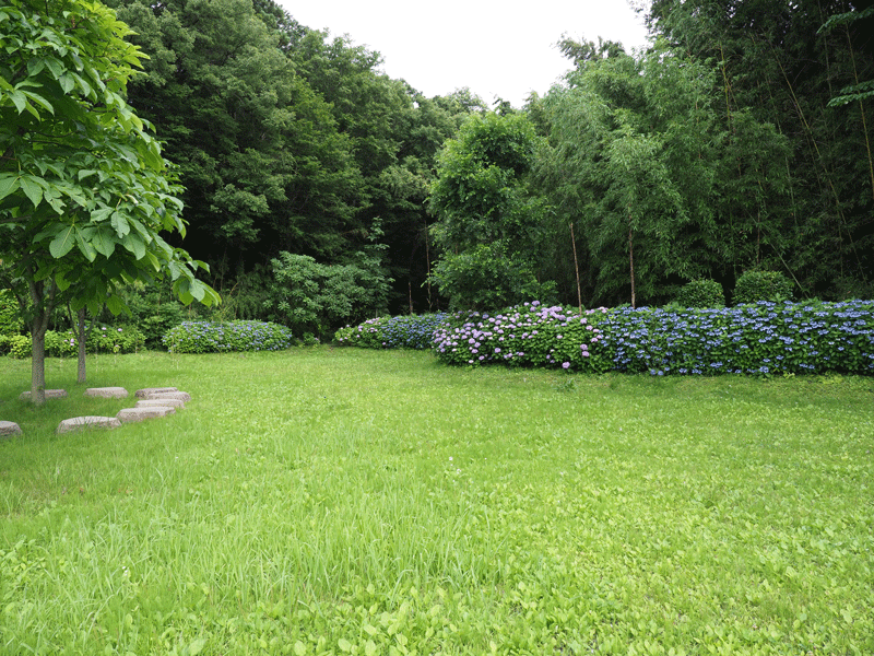 d0290240_10474524.gif