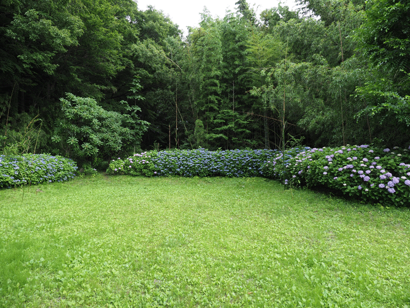 d0290240_10481023.gif