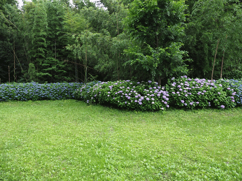 d0290240_10482147.gif