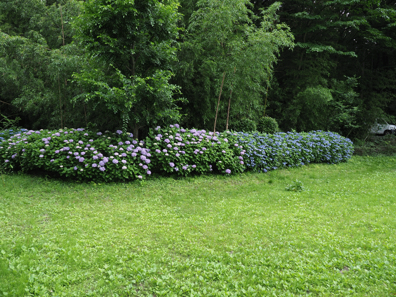 d0290240_10483605.gif